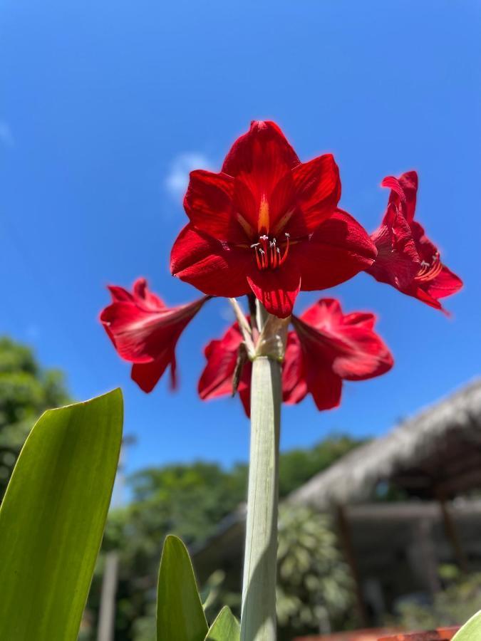 Hotel Hacienda El Diamante Villeta Eksteriør billede